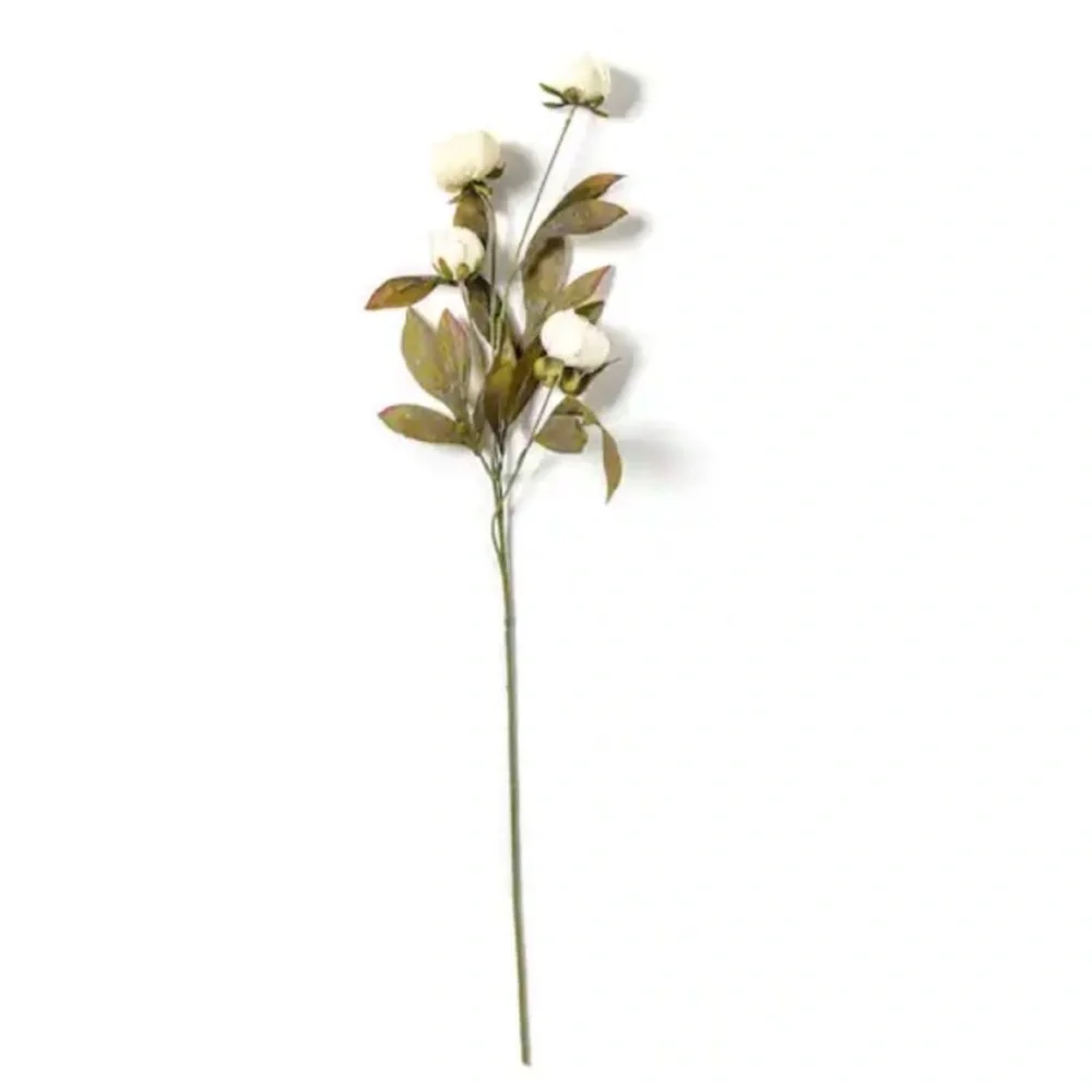 8/ NEW / Pack of 8 Cream Peony Stems by Ashland